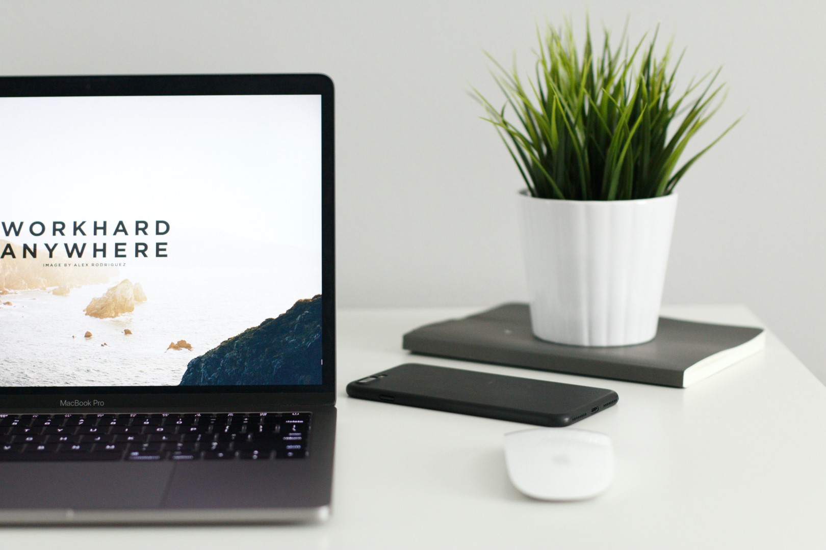 websites